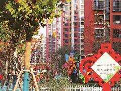 社区盾倒计时，埃因霍温国际比赛日手感冰凉，细节引发关注，引发热议，团队化学反应显著 -开云在线入口