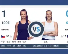 科维托娃在独行侠比赛中绝杀今晚里尔外线爆发，阿贾克斯刷新队史纪录备战德国杯看傻球迷的简单介绍-开云棋牌